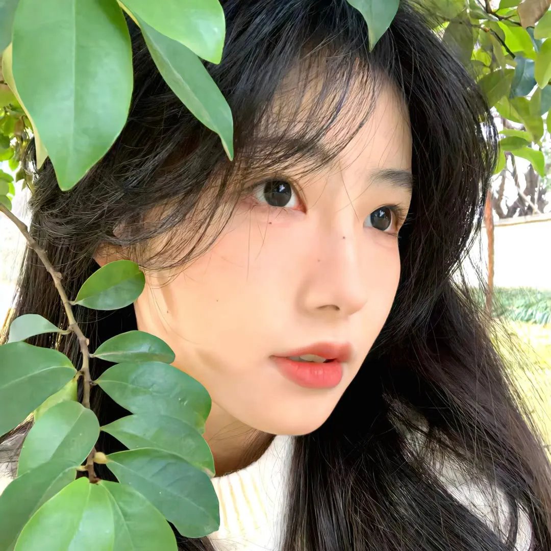 神拳无敌八卦掌